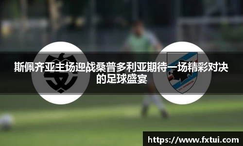 bsports官方网站